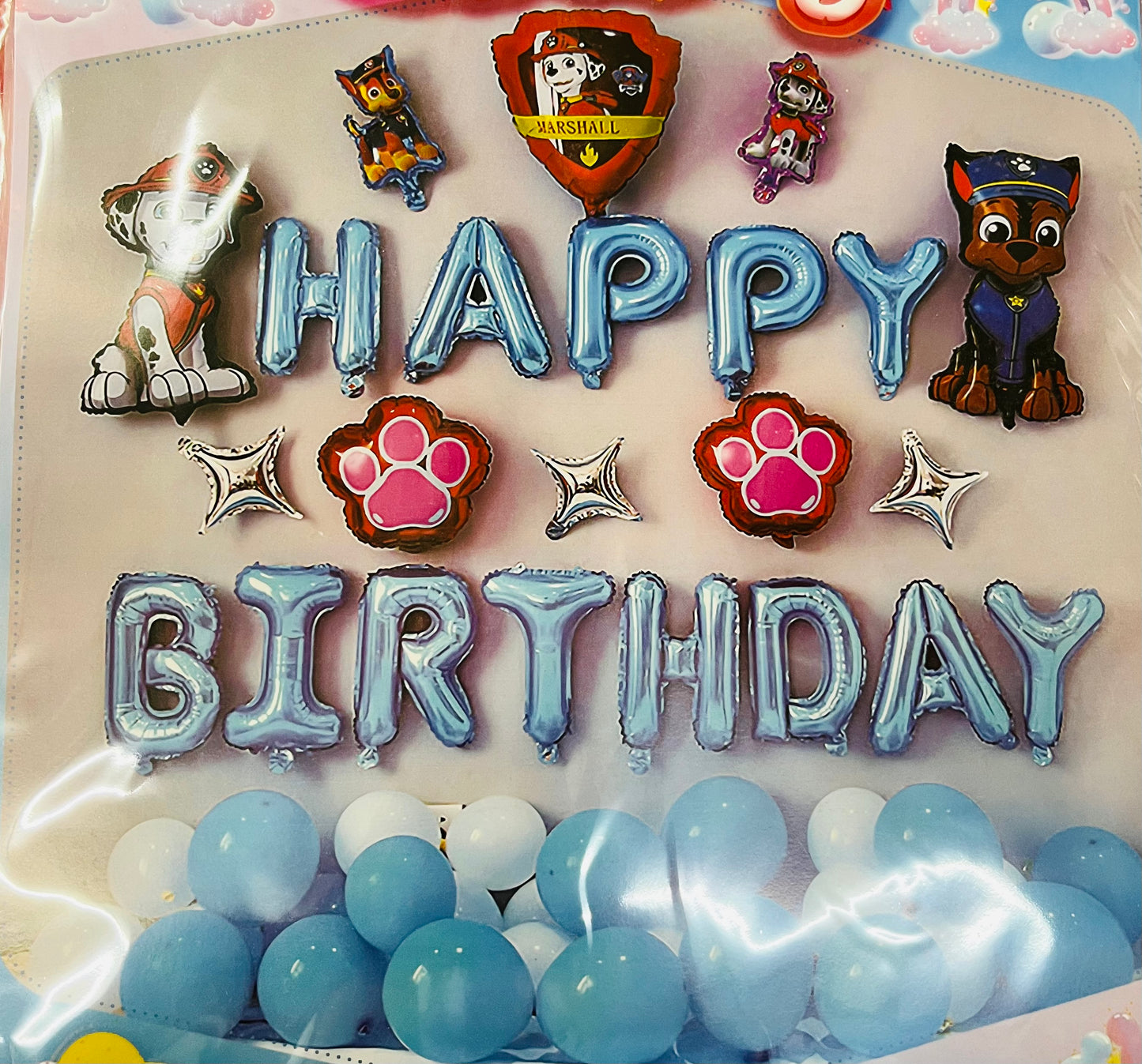 PAW PATROL THEME SET